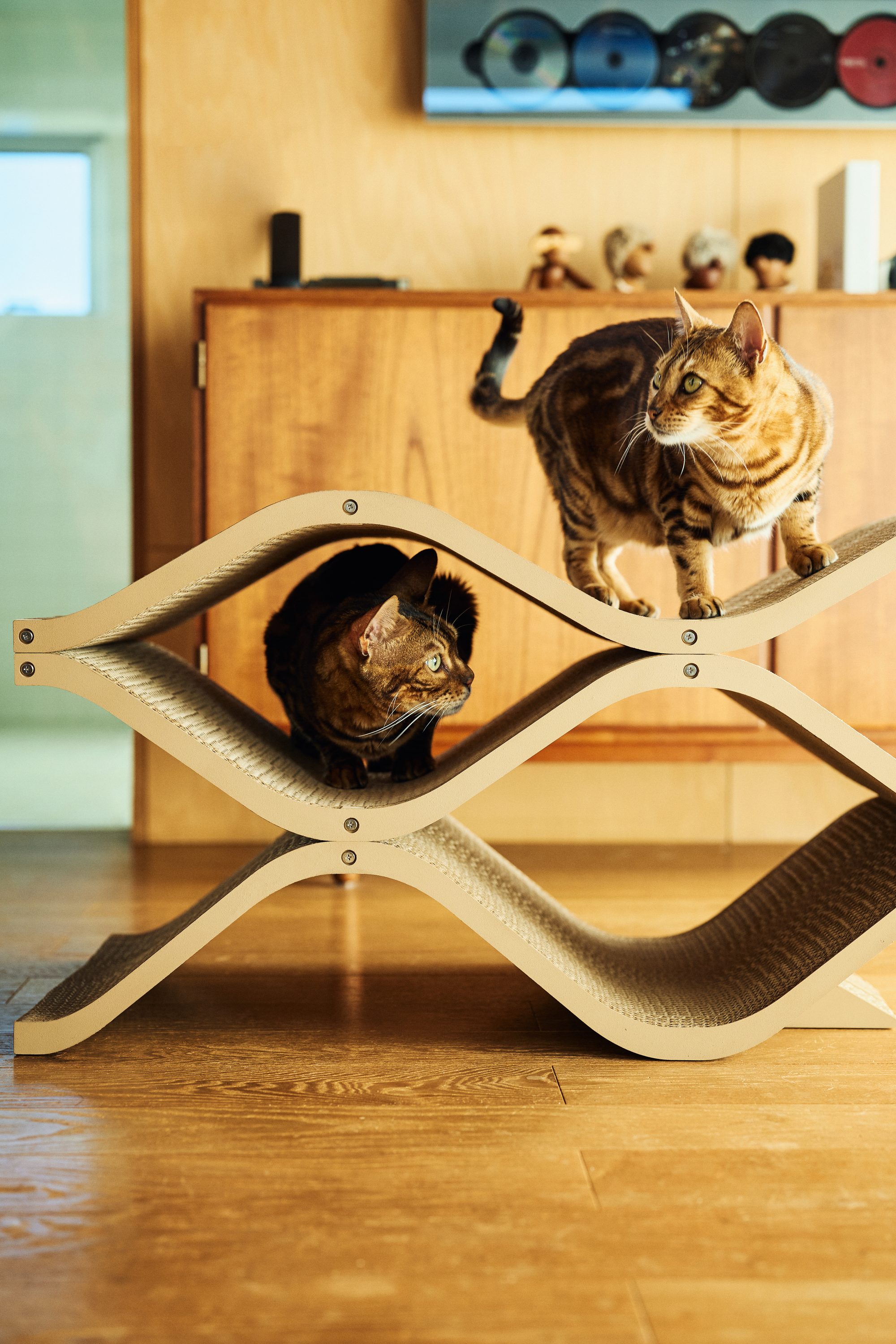 Cat Cellar — product view