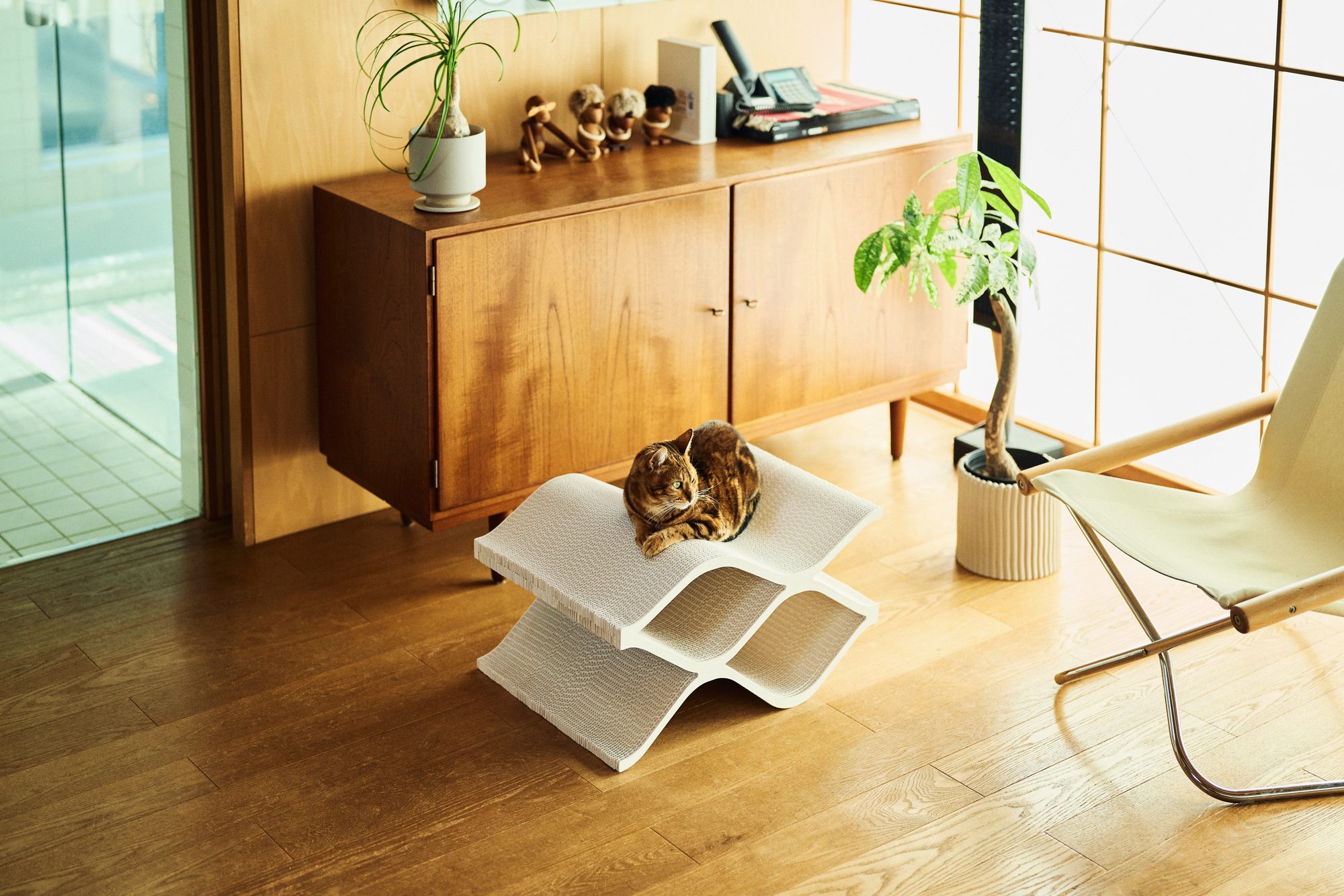 Cat Cellar thumbnail CC-02